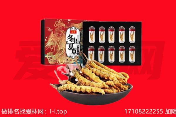 邯郸回收虫草.jpg